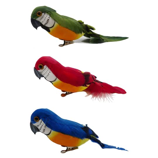 Assorted Feather Parrot by Ashland&#xAE;